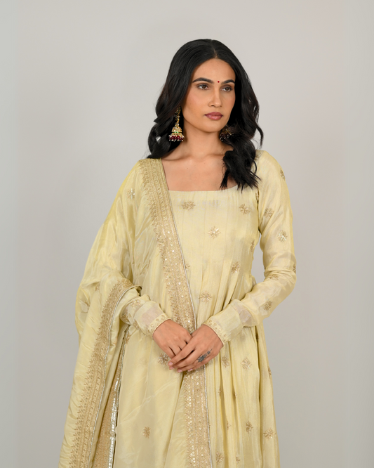Anarkali Suit - The Mehr Set